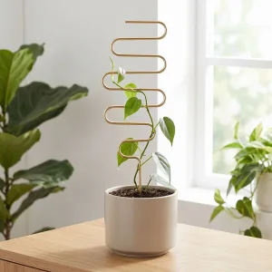 wire trellis, trellis for climbing plants